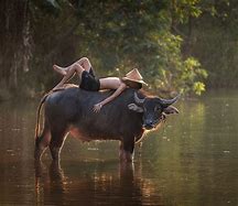 Vietnamese traditional clother